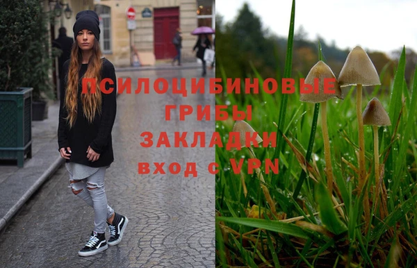 прущие грибы Армянск