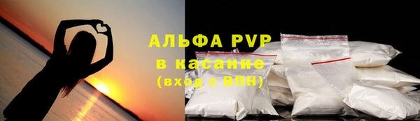 прущие грибы Армянск