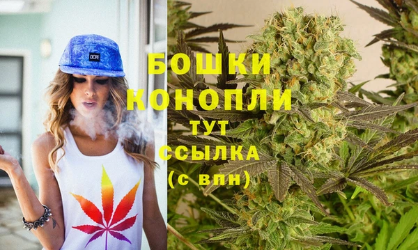ГАЛЛЮЦИНОГЕННЫЕ ГРИБЫ Нязепетровск