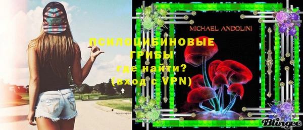 ГАЛЛЮЦИНОГЕННЫЕ ГРИБЫ Нязепетровск