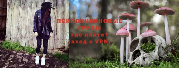 прущие грибы Армянск
