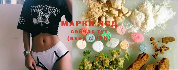 прущие грибы Армянск