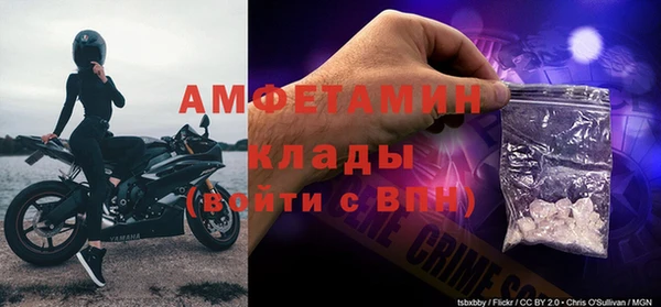 прущие грибы Армянск