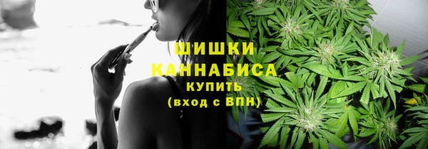 прущие грибы Армянск